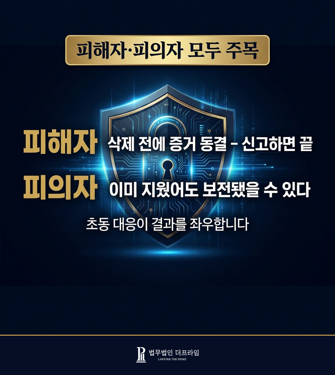 전자증거 보전요청 제도